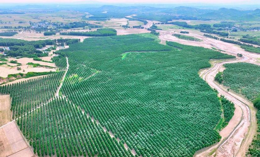 聚焦沙化荒漠化土地治理,以三北工程建设为抓手,实施系列生态修复工程
