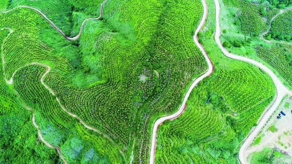 稻浪翻涌间 绿水青山入画来 -- 红河县生态文明建设绘就和谐共生新画卷